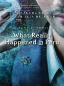 Okadka ksizki - What Really Happened in Peru