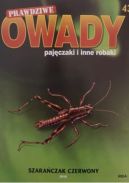 Okładka - Szarańczak czerwony