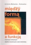Ok�adka - Mi�dzy form� a funkcj�