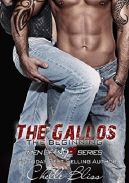 Okadka ksizki - The Gallos: The Beginning