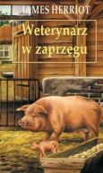 Okadka - Weterynarz w zaprzgu