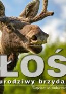 Ok�adka - �o�. Urodziwy brzydal