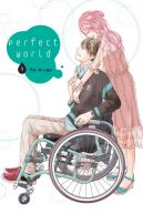 Okadka ksizki - Perfect World #9