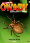 Okładka -  Diabelski pająk
