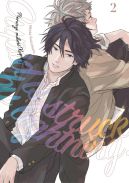 Ok�adka ksi�zki - Pierwsza mi�o�� Kupidyna #2