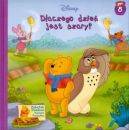 Okadka - Dlaczego dzie jest szary?