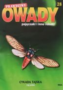 Okładka - Cykada tajska