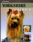 Okadka - Yorkshire Terier