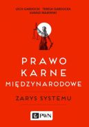 Ok�adka - Prawo karne mi�dzynarodowe