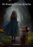 Ok�adka - Po drugiej stronie Strachu