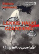 Ok�adka - Lekkie halki czarownic i inne mikroopowie�ci