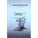 Ok�adka - G�dczi òb drogã do nieba