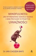 Okładka - Mindfulness. Jak wytrenować dzikiego słonia i inne przygody w praktyce Uważności.