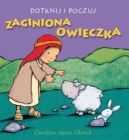 Okładka książki - Dotknij i poczuj. Zaginiona owieczka