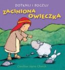 Okadka ksiki - Dotknij i poczuj. Zaginiona owieczka