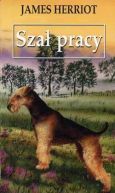 Ok�adka ksi�zki - Sza� pracy