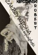 Ok�adka - Zakrzywiona rzeczywisto��