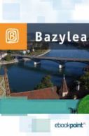 Okadka ksizki - Bazylea. Miniprzewodnik