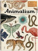 Okadka ksizki - Animalium. Muzeum zwierzt