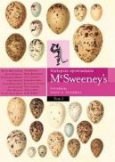 Okadka ksizki - McSweeney s - Najlepsze opowiadania tom 2