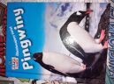 Ok�adka - Zdumiewaj�cy �wiat - Pingwiny 