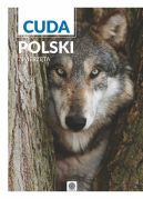 Okadka ksiki - Cuda Polski Zwierzta 