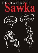 Okadka ksizki - Po bandzie