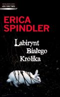 Okadka ksizki - Labirynt Biaego Krlika
