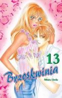Okadka ksizki - Manga Brzoskwinia cz 13