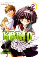 Okadka - Wampirzyca Karin. Tom 2