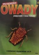 Okładka - Czerwony pluskwiak Liczi