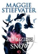 Okładka ksiązki - Złodzieje snów