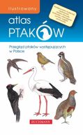 Okadka - Ilustrowany atlas ptakw