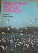 Ok�adka - W�dr�wki w�r�d ptak�w