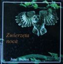 Okładka - Zwierzęta nocą.