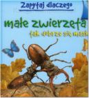 Okładka - Zapytaj dlaczego małe zwierzęta tak dobrze się maskują