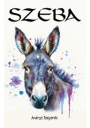 Ok�adka - Szeba