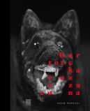 Okadka - Kartoteka rozrzucona. Fotograficzna podr z Rewiczem