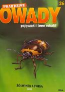 Okładka - Żółwinek Lewisa