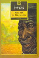 Okadka ksizki - Poranek w Tidewater