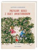 Okadka ksizki - Przygody dzieci z ulicy Awanturnikw