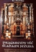 Okładka - Pragniemy iść śladami Jezusa
