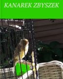 Okadka ksizki - Kanarek Zbyszek