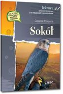 Okładka ksiązki - Sokół 