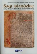 Okadka ksizki - Sagi islandzkie . Zarys dziejw literatury staronordyckiej