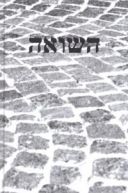 Okadka - Pami Shoah. Kulturowe reprezentacje i praktyki upamitnienia