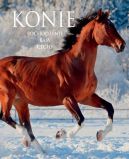 Okładka książki - Konie Pochodzenie Rasy Cechy