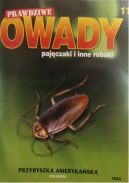Okładka - Przybyszka amerykańska