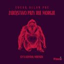 Okadka - Zabjstwo przy Rue Morgue