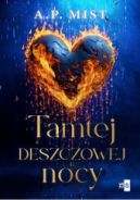 Okadka ksizki - Tamtej deszczowej nocy